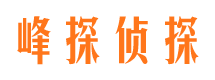 随县市出轨取证